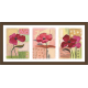 Floral Art Paintings (FHT-909)